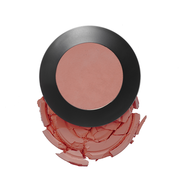 ARTIST COLOUR POWDER BLUSH - ANTE - DEMO