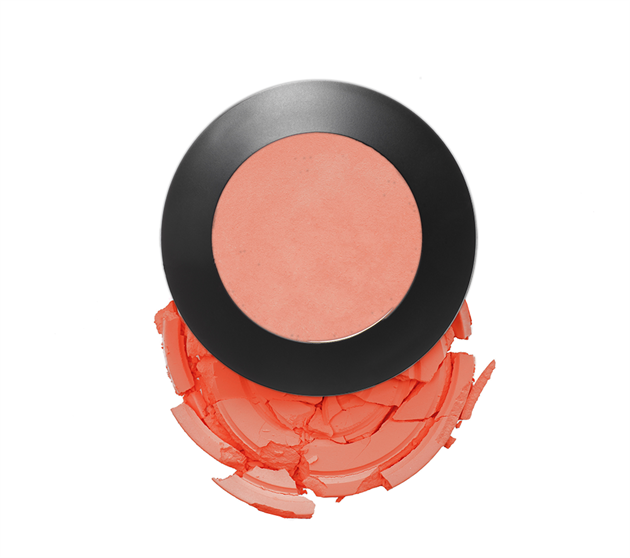 ARTIST COLOUR POWDER BLUSH - PEAC - DEMO